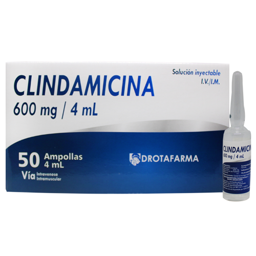 CLINDAMICINA 600MG/4ML X 1 AMP DROTAFARMA
