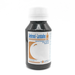 AMBROXOL + LORATADINA 30MG/5MG/5ML JBE X 120ML DROTAFARMA