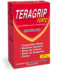 TERAGRIP FORTE DIA X 1 SOBRE