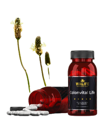 COLONVITAL LIFE X 60 CAP. WALIFE