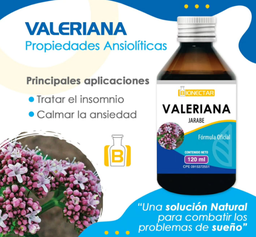 VALERIANA JARABE 120 ML BIONECTAR